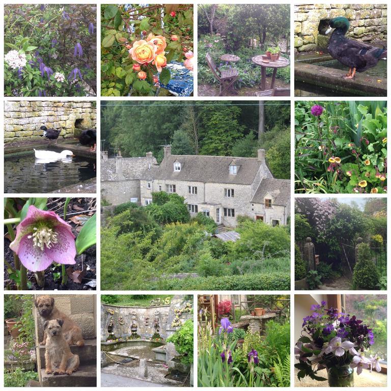 Dove Cottage Bisley  Exterior photo